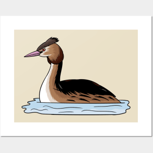 Great crested grebe bird cartoon illustration. Posters and Art